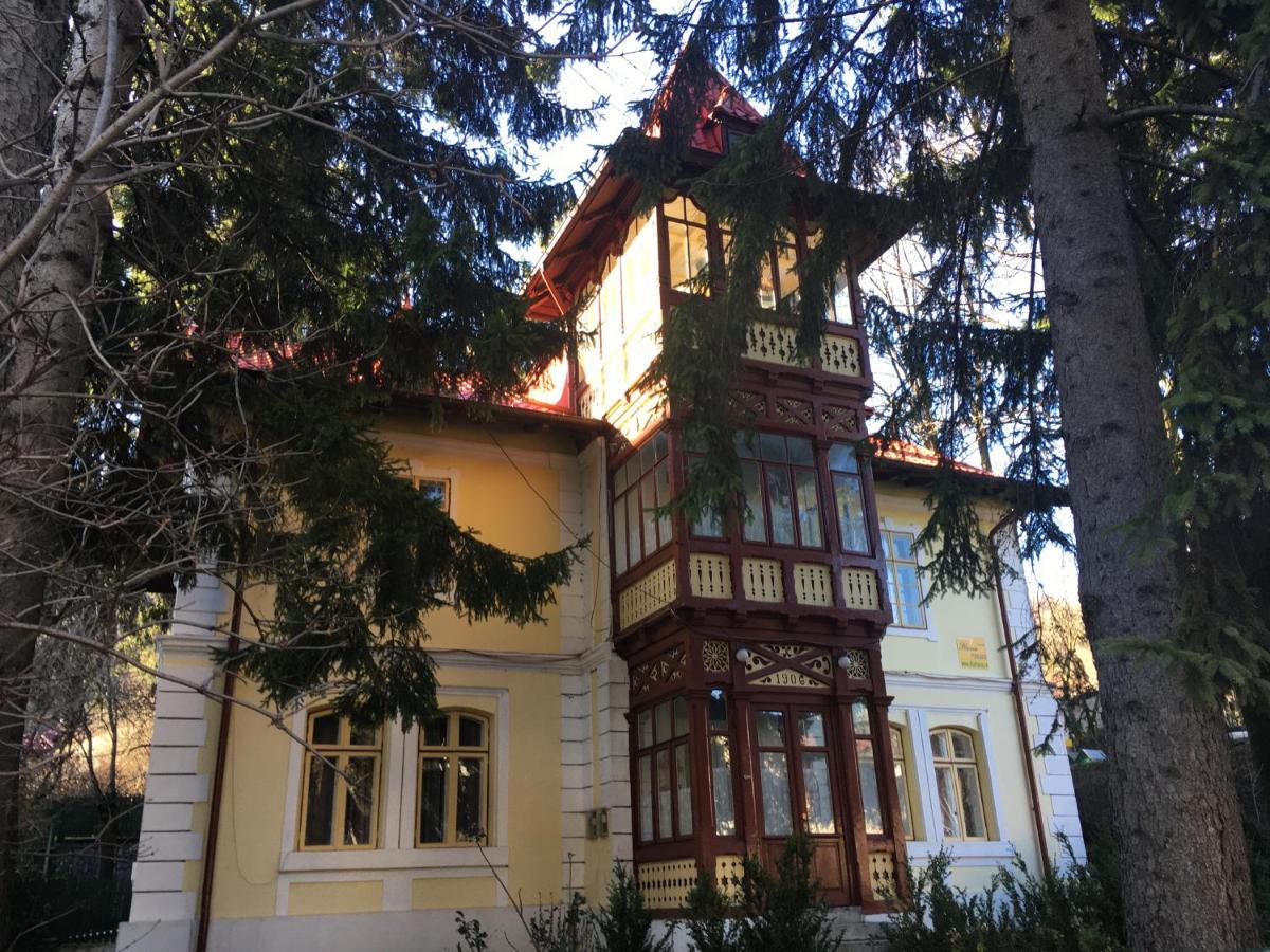 סינאיה Vila Flavia מראה חיצוני תמונה